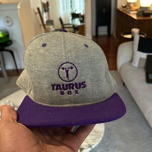 Grey and Purple Taurus Box Snapback Hat